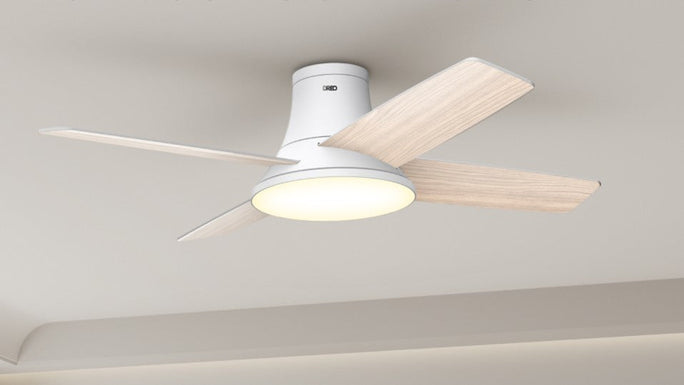 RGBIC Lighting in DREO Ceiling Fans: Turning Everyday Airflow into a Smarter Home Experience