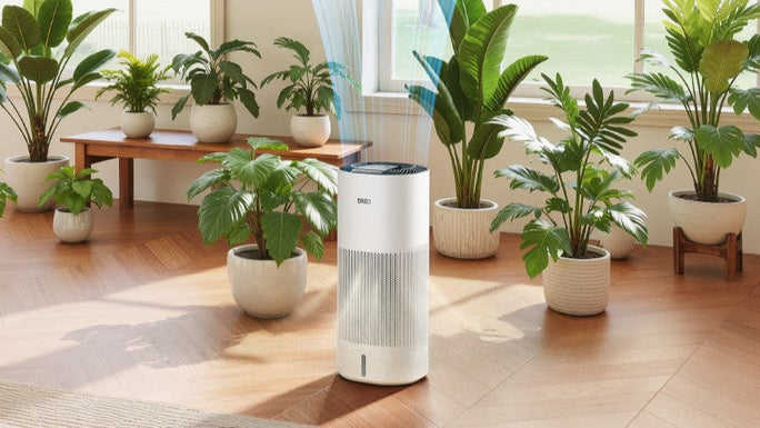 What Does a Humidifier Do?