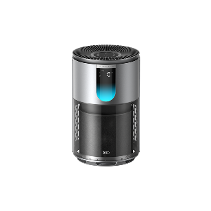 Air Purifier 539