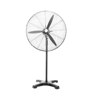 Traditional  Fan